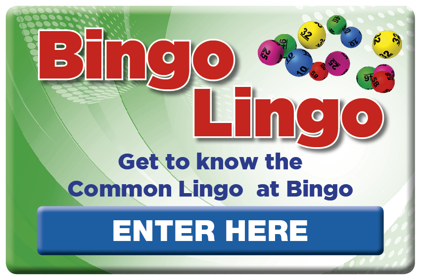 Bingo Lingo